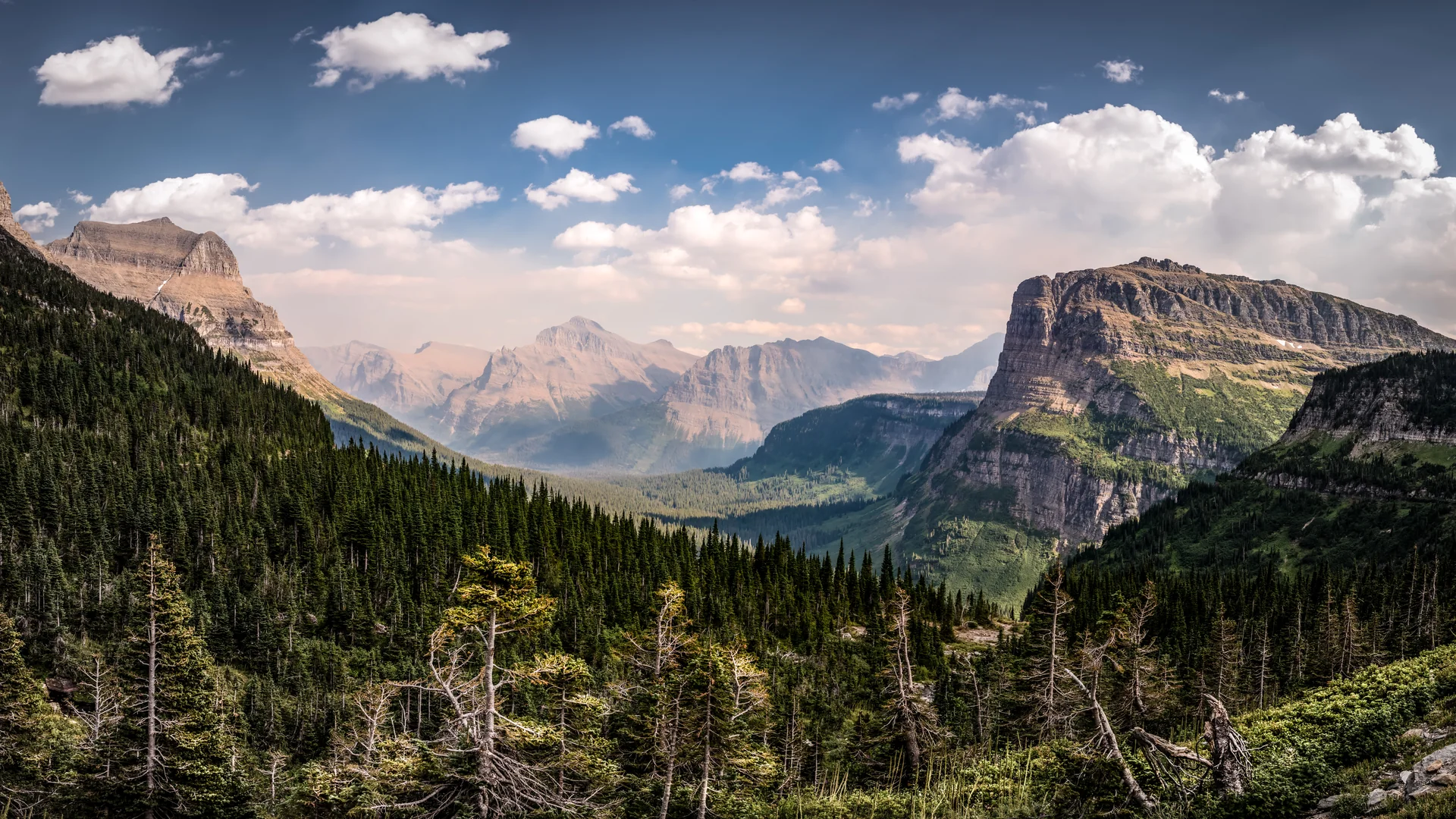 The Confluence of Cultures: Montana's Remote Work Havens Forging New Identities