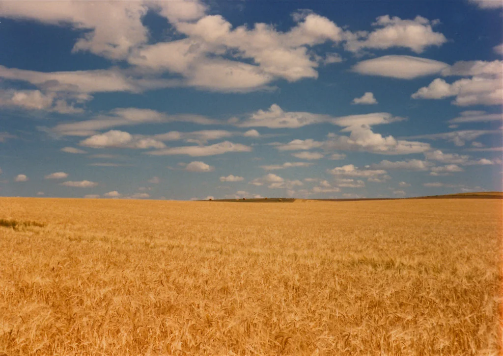 Montana's Wide Open Spaces: How Geography Shaped a Free-Spirited Culture