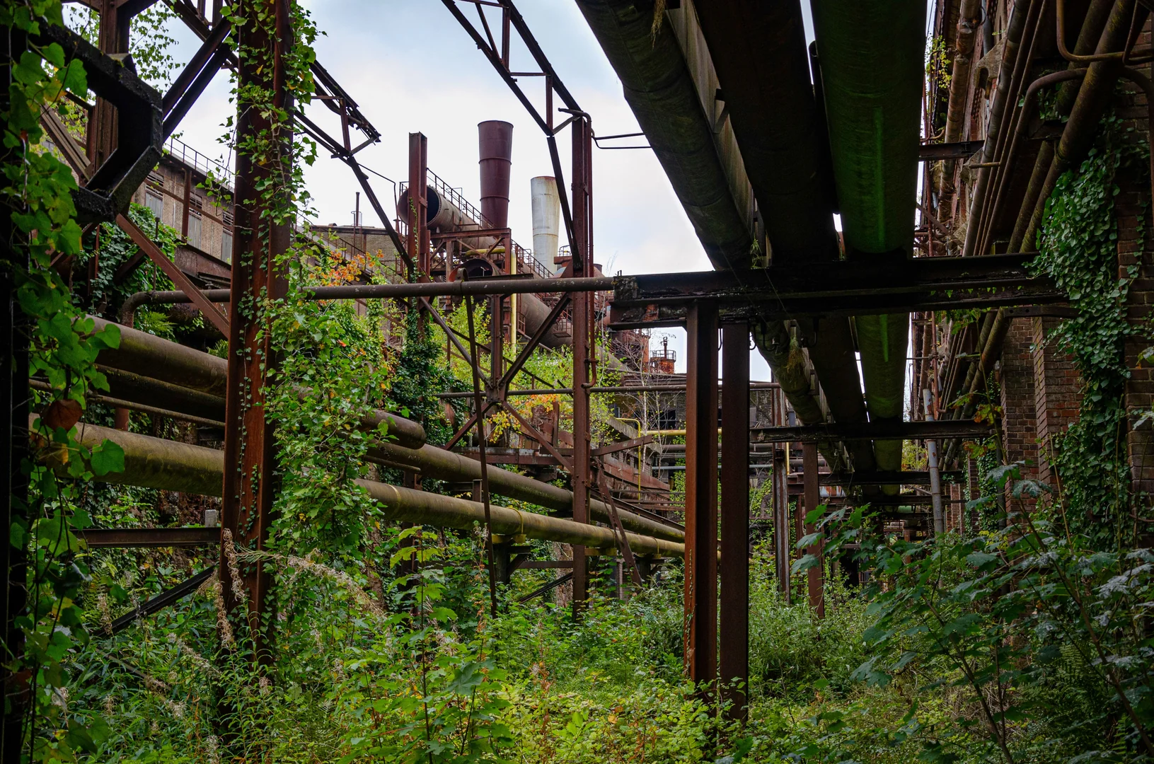 The Hidden World of California's Urban Exploration Scene