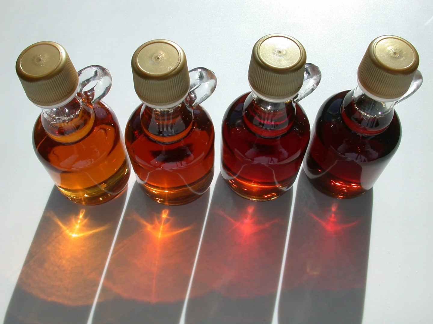 The Maple Money Trail: How Vermont's Sweetest Export Built a Tourism Empire on $15 Taps