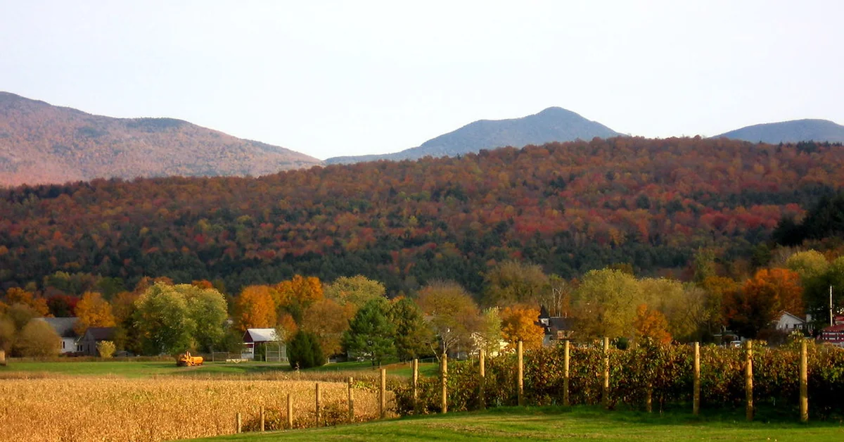 Top 5 Vermont Vacation Spots Perfect for Family Adventures
