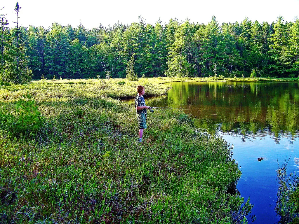 Fishing in a bog lake Nicolet National Forest