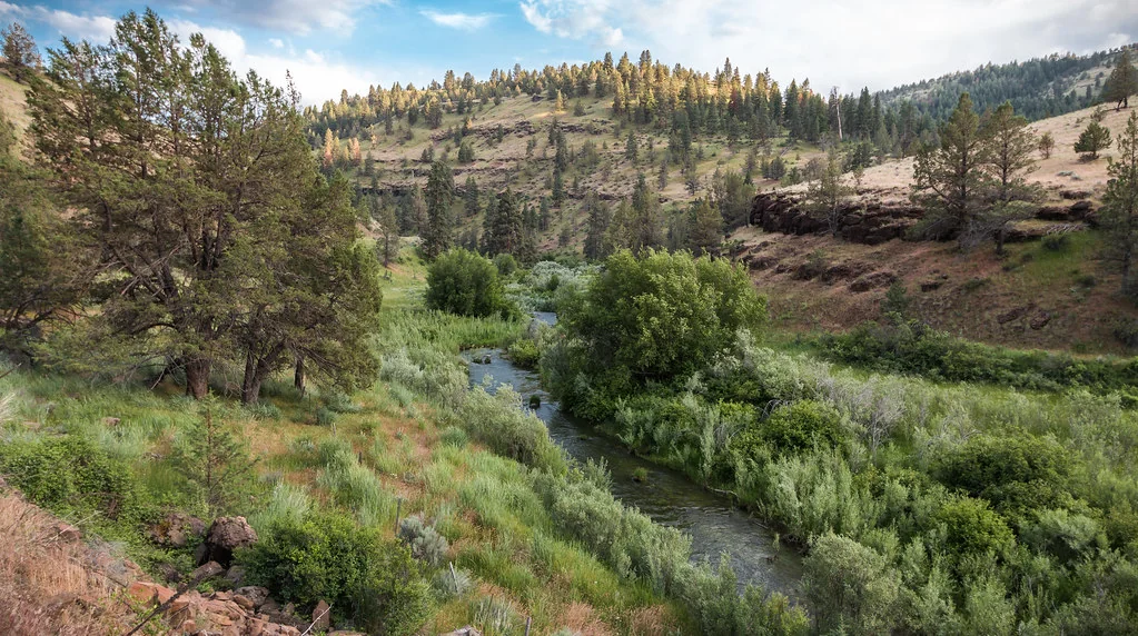 South Fork John Day Wild and Scenic River