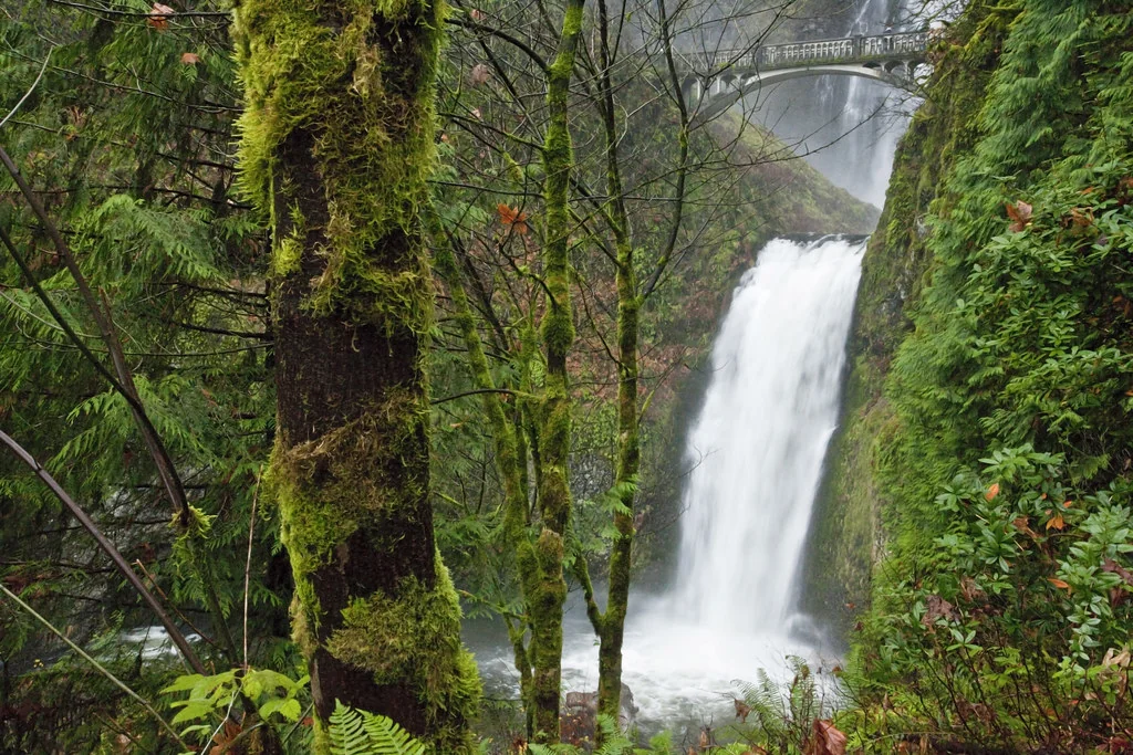 Multnomah Falls (Lower Tier)