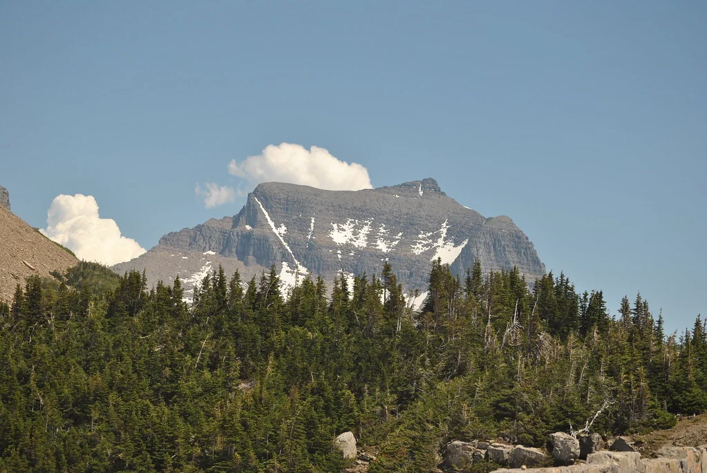 heavy runner mountain Montana