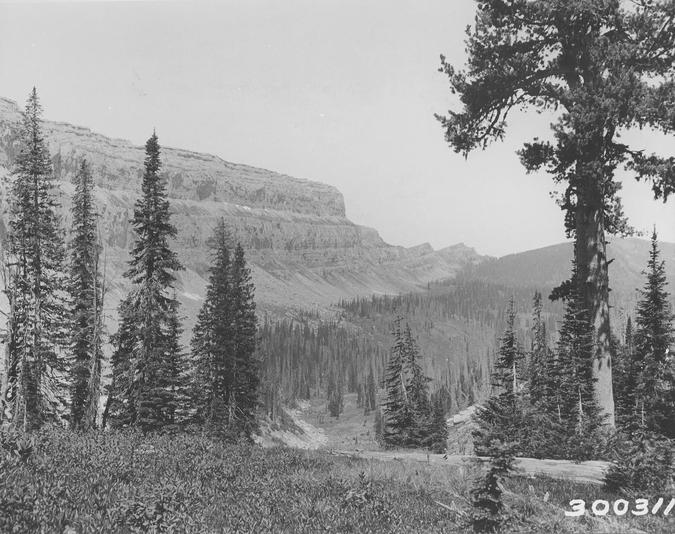 Bob Marshall Wilderness 99 6479 (5881310508)