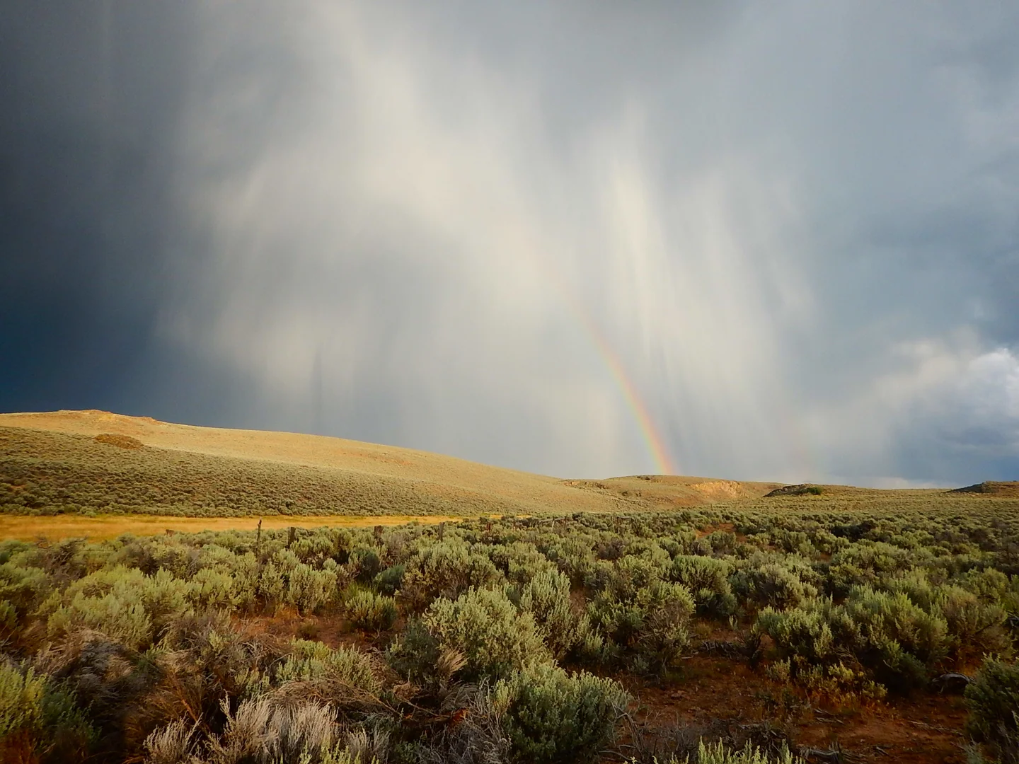This picture followed a massive summer thunderstorm, which showcases this outstanding, almost too pe