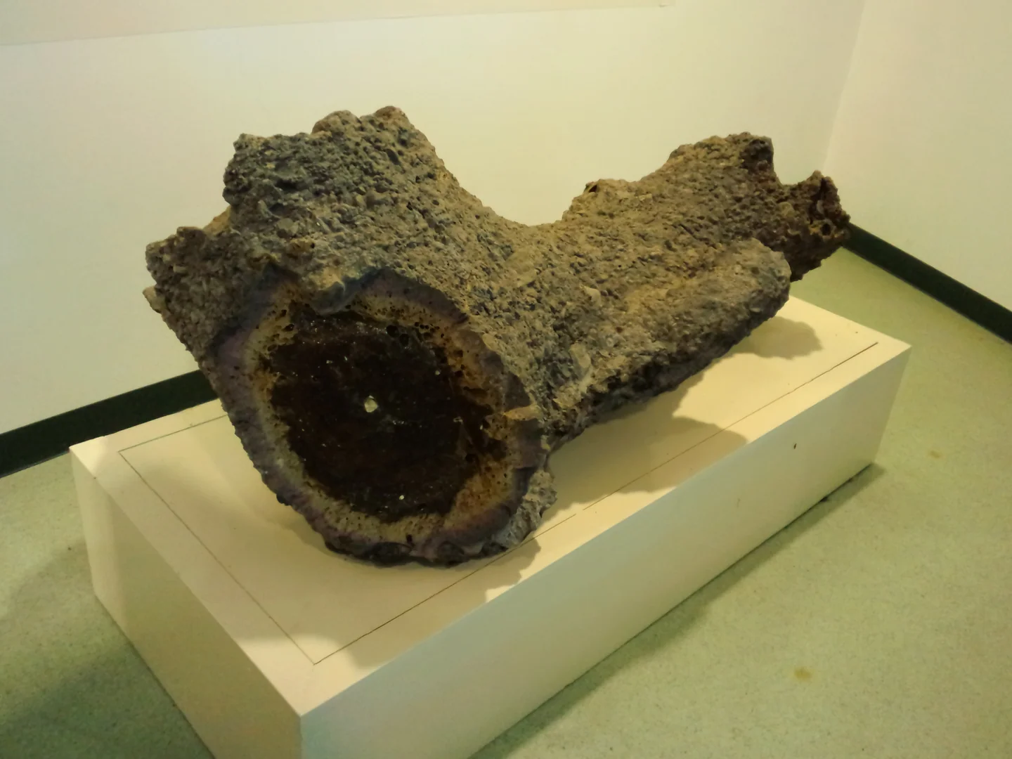 Iwamizawa park local history and science museum fulgurite