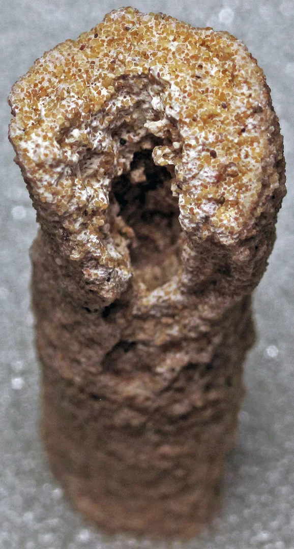 Fulgurite (Sahara Dune Field, Morocco) 8