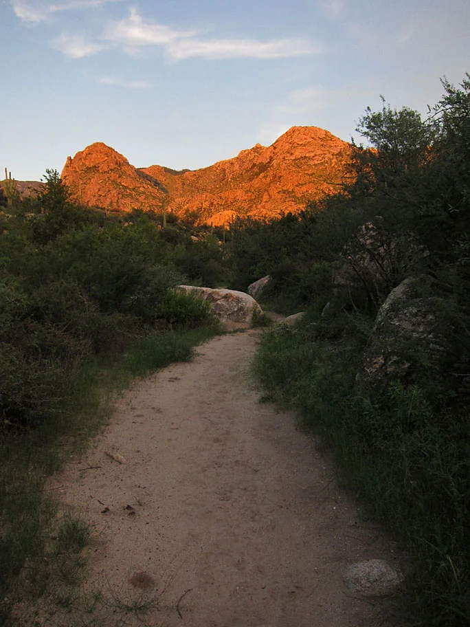 Catalina State Park sunset
