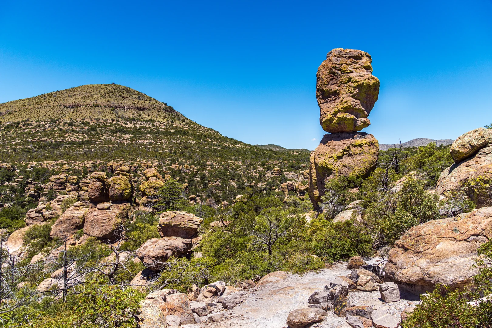 Chiricahua National Monument, Arizona, USA 2024 32