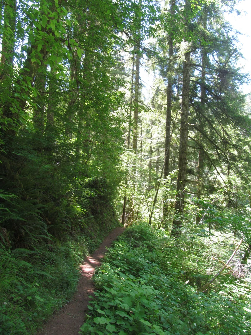 Niagara Falls Hiking Trail Oregon 14624701494