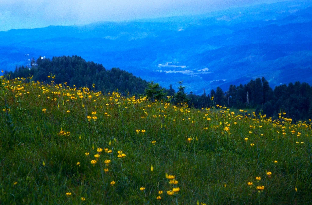 Marys Peak ACEC